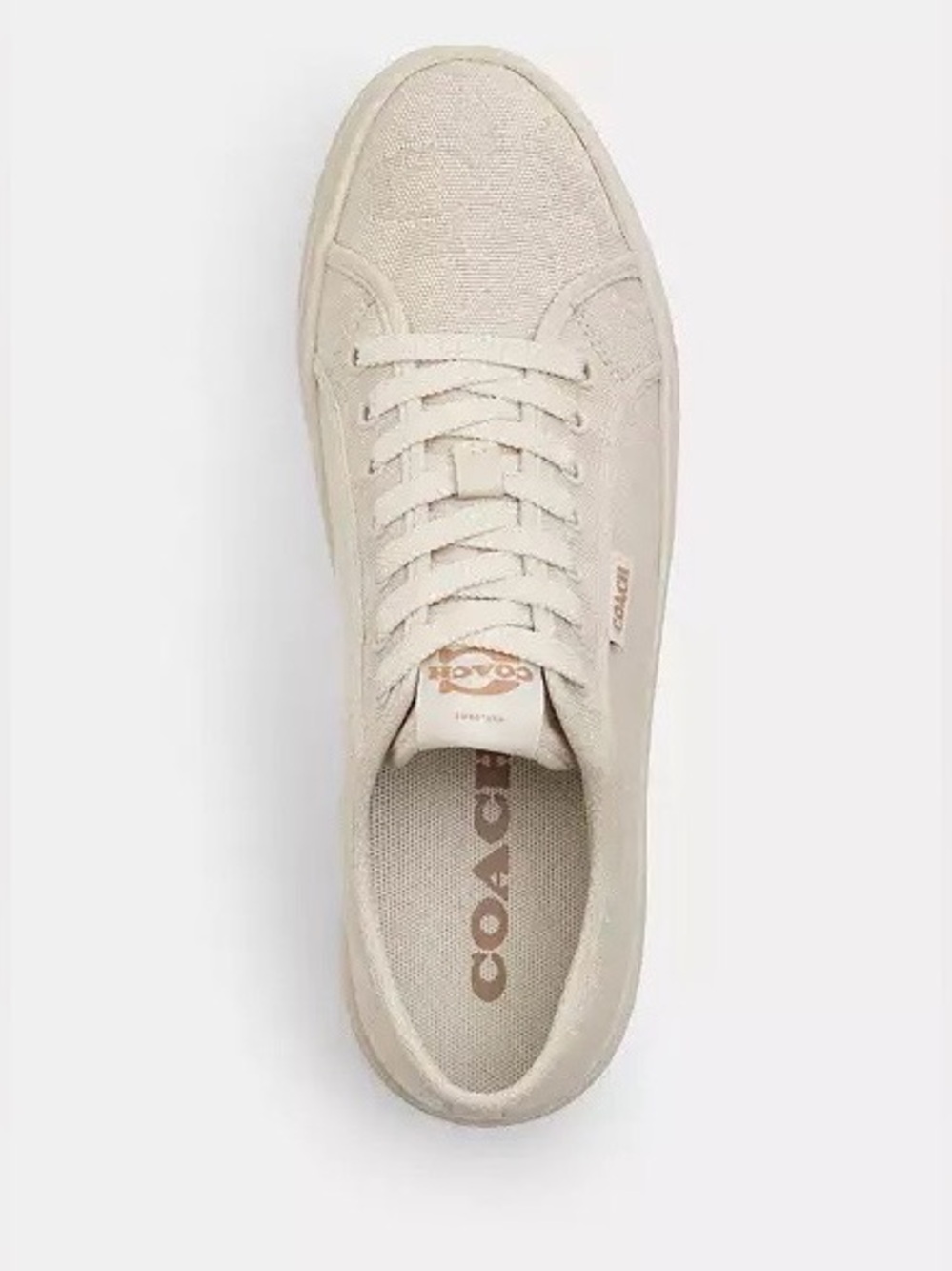 Coach Canvas Sneakers